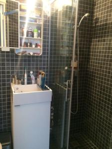 e bagno con doccia, servizi igienici e lavandino. di Maison à 2 pas de Paris ! a Bagnolet