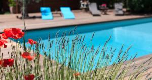 Swimmingpoolen hos eller tæt på Le Mas de Bertagne studio kitchenette terrasse piscine + 11 billeder