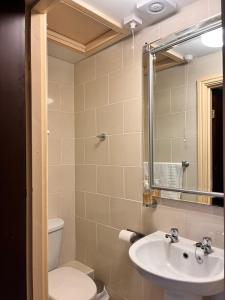 a bathroom with a sink and a toilet and a mirror at Beech Mount Grove Suites in Liverpool