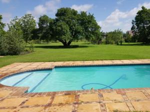 una piscina en un patio con un árbol en Arum Lily Eloff, en Delmas