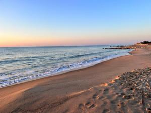 une plage de sable avec l'océan en arrière-plan dans l'établissement Villaggio Mondial Camping, à Métaponte