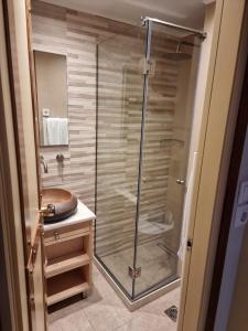 a shower with a glass door in a bathroom at Pitho in Delphi