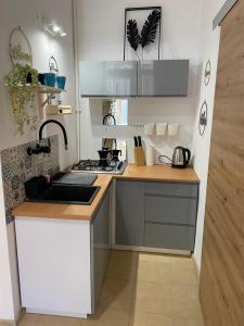 a small kitchen with a sink and a stove at Sparrow Apartment in Kazimierz in Krakow