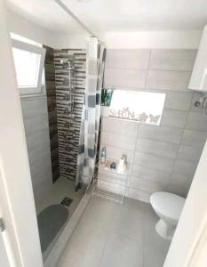 a bathroom with a shower and a toilet at Flower 3 free parking in Siófok
