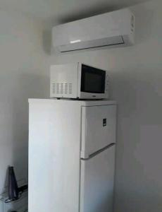 a microwave sitting on top of a refrigerator at Flower 3 free parking in Siófok
