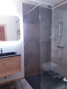 a bathroom with a shower with a sink and a toilet at La Maison des Senteurs in Francorchamps