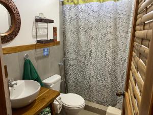 een badkamer met een wastafel, een toilet en een douche bij Bungalows Ayampe in Ayampe