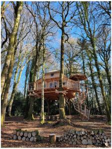 a tree house in the middle of the woods at Les hébergements insolites de Quénécan in Perret