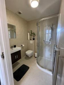 een badkamer met een douche, een toilet en een wastafel bij Camberwell Living Studio - Zone 2 London in Londen