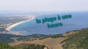 Φωτογραφία από το άλμπουμ του MAURY CAT'STUDIO 66 σε Maury +26 φωτογραφίες