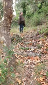 Φωτογραφία από το άλμπουμ του MAURY CAT'STUDIO 66 σε Maury