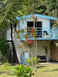 une maison bleue et blanche avec un palmier dans l'établissement Dolphin Blue Paradise, à Bocas del Toro