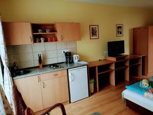 Kuchyňa alebo kuchynka v ubytovaní Haus Maria Appartements
