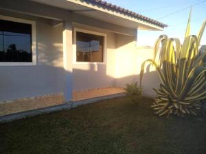 dom z kaktusem przed nim w obiekcie Casa da tia Ju! w mieście São José dos Pinhais