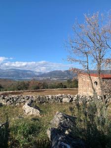 Gallery image of Glamping Montenegro in Kotor