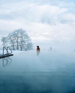 a dog standing in the snow next to a body of water at Santre dolomythic home in Bressanone