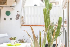 Fotografie z fotogalerie ubytování CUBAN GREEN Terrace v destinaci Sitges
