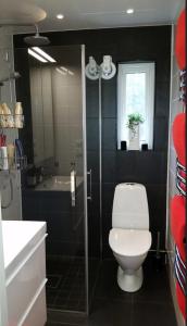 a bathroom with a toilet and a sink and a shower at Mysigt rum i trevligt hus in Taberg