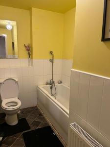 a bathroom with a toilet and a tub and a sink at Hevea Road House in Burton upon Trent
