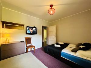 シュクラルスカ・ポレンバにあるAPARTAMENT NAD KAMIEŃCZYKIEM IIのベッドルーム1室(ベッド1台、壁掛けテレビ付)