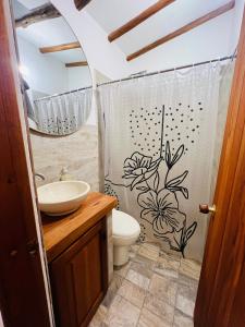 La salle de bains est pourvue de toilettes et d'un rideau de douche. dans l'établissement Cabaña Ensueño, à Villa de Leyva