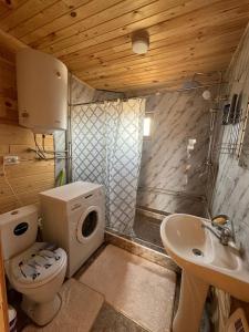a small bathroom with a toilet and a sink at WooD_House_Issyk-Kul in Bosteri