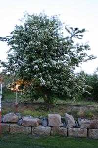 Φωτογραφία από το άλμπουμ του Ferienwohnung Wegmann σε Borkum