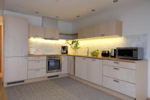 Kuchyň nebo kuchyňský kout v ubytování Tallinn City Apartments Roosikrantsi