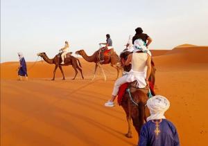 a group of people riding on camels in the desert at Amazing Luxury Camp in Merzouga