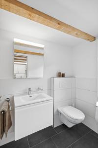 ein weißes Bad mit einem WC und einem Waschbecken in der Unterkunft Kuschelige Ferienwohnung direkt an der Skipiste in Wildhaus