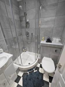 a bathroom with a shower and a toilet and a sink at LOVELY 1 BEDROOM FLAT IN FINSBURY PARK/EMIRATES STADIUM in London