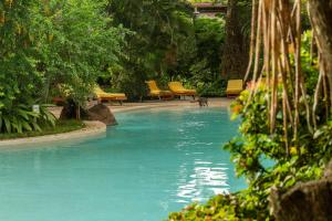 Bazen u ili blizu objekta Capitán Suizo Beachfront Boutique Hotel