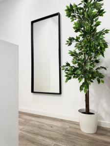 una planta en una olla frente a un espejo en Apartamentos Madrid Connection - Universidad by Oshun Apartments, en Madrid