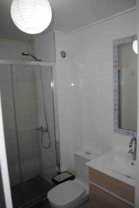 a bathroom with a shower and a toilet and a sink at Casa familiar Bahía Inglesa in Bahia Inglesa