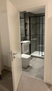 y baño con aseo, lavabo y ducha. en Luxury 2 Bedroom Apartment East London, en Londres