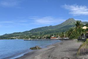 a beach with palm trees and a mountain in the background at Casa Guila, Villa moderne à 50m de la plage à Saint-Pierre in Saint-Pierre
