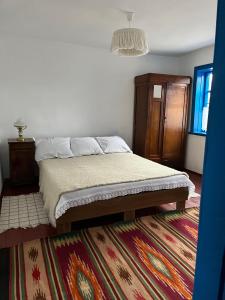 Leplyavo的住宿－Бабусина хатка，一间卧室配有一张床和地毯