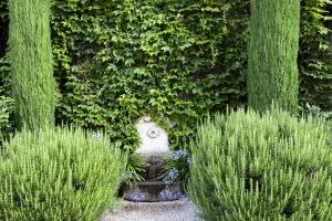 a garden with a fountain in the middle of plants at Manoir des Basses Rivières in Rochecorbon