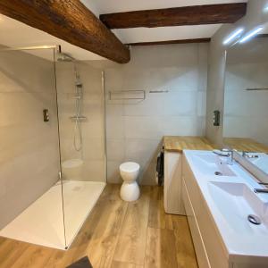a bathroom with a shower and a sink and a toilet at Gîte Du XVe in Kaysersberg