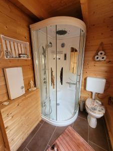 a bathroom with a shower and a toilet in a room at Ferienhaus Seeblick in Nöda +14 photos
