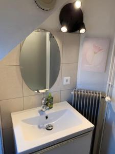 ein Badezimmer mit Waschbecken, Spiegel und Heizkörper in der Unterkunft Appartement Duplex 2a Rue d'Alspach in Colmar