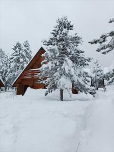 a snow covered tree in front of a cabin at Blidinjehouse in Risovac