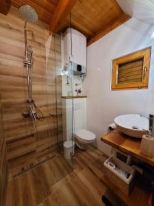 a bathroom with a shower and a toilet and a sink at Blidinjehouse in Risovac