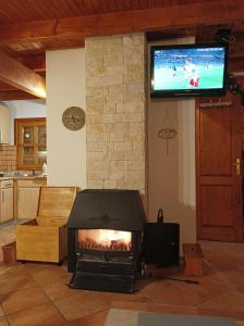 a living room with a fireplace with a tv above it at Blidinjehouse in Risovac