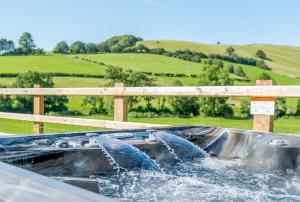 two dolphins in the water in a tank at Waun Yscir Rural escape in the Brecon Beacons in Brecon