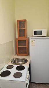 La cuisine est équipée d'une cuisinière, d'un évier et d'un réfrigérateur. dans l'établissement Студия в центре, à Astana
