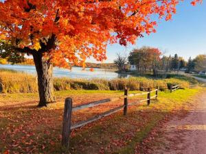 una cerca y un árbol junto a un lago en Walleye Cabin Spitzer Lakefront Minnesota, en Clitherall