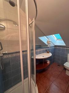 uma casa de banho com um chuveiro e um lavatório. em Casa Alpargateiro em Os Peares