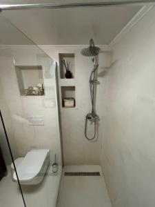 a small bathroom with a shower and a toilet at Ático El Reducto views in Arrecife