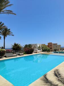 a large blue swimming pool with palm trees in the background at Roof top apartment with panorama view in Hurghada
